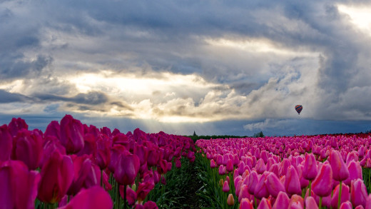 �1760673 �������(a): ����������:2048x1152